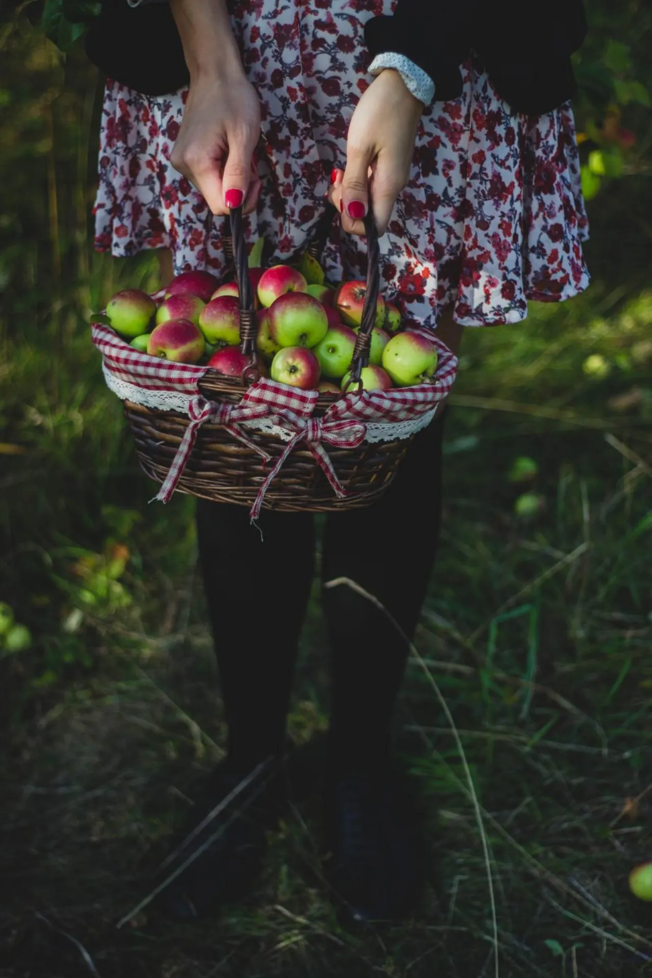 Cesta de manzanas de la vega del Ebro